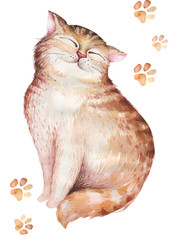 Watercolor cute isolated cat ilustration. Love cartoon cats character for valentine's card. Nursary art design.