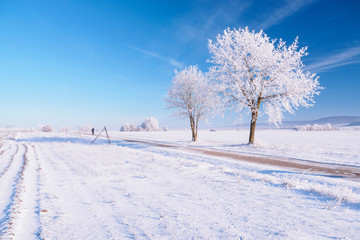Winterlandschaft
