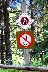 A No Fishing No Hiking sign on a tree