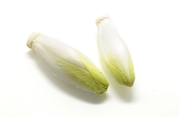 Fresh belgian endives isolated on white background.