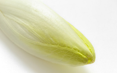 Close up of  Fresh belgian endive isolated on white background.