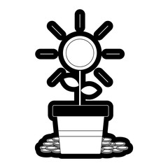 money plant potted icon