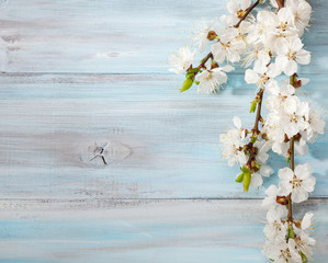 Old wooden background with branches of blossoming apricot.
