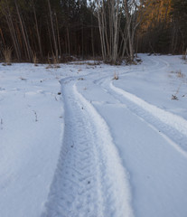 Obraz premium Tire tracks in the snow into the woods