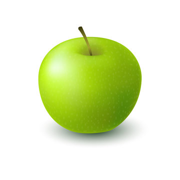 Isolated realistic colored green apple. Whole juicy fruit with shadow on white background.