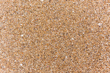 Beach Textures Shells Sand