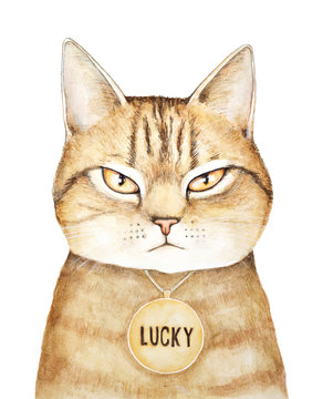 Gold purebred tabby cat character portrait, wearing roundel pendant with engraving inscription "Lucky". Gloomy looking in camera, front view. Hand drawn watercolour drawing, white background, cutout.