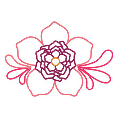 tropical flowers design