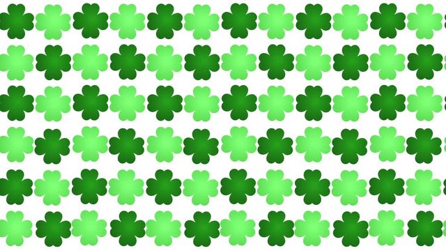 Saint patrick's day shamrock four leafed clover irish motion background loop