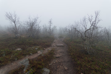 Rocky mountain path throug misty landscape