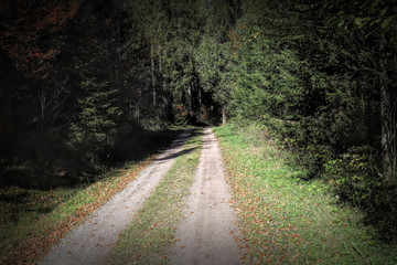 Fototapeta premium Lovely hiking path called 