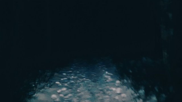 POV victim runs away from the maniac in the woods at night