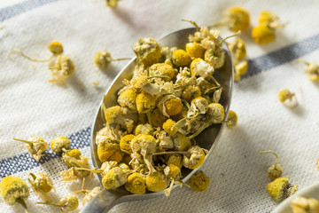 Fototapeta na wymiar Raw Yellow Dried Organic Chamomile