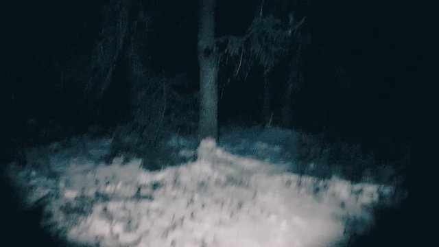 POV victim runs away from the maniac in the woods at night