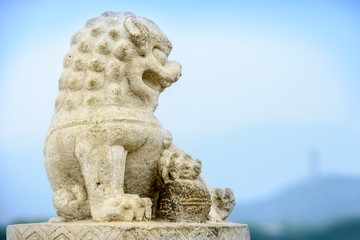 Fototapeta premium Ancient Chinese guardian lion on the 17-Arch Bridge. The bridge built in Qing Dynasty, Qianlong period. Located in Summer Palace, Beijing, China.