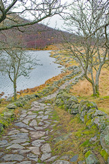 The trail to the viewpoint of stavanger