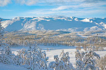 Mountain landscape telemark, norway