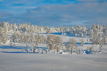 Winter landscape telemark, norway