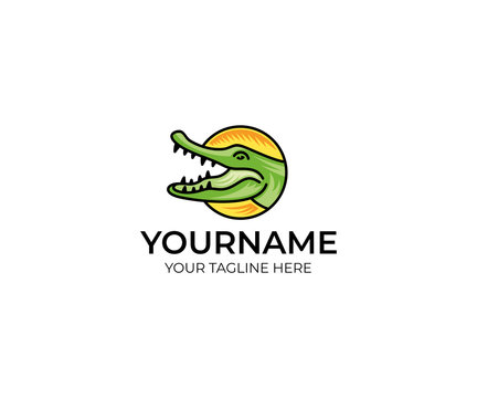 Colorful crocodile logo template. Alligator vector design. Animal croc illustration