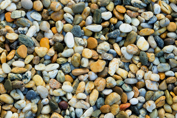 Gravel texture. Small stones, little rocks, pebbles in many shades of grey, white, brown, blue, yellow colour. Background of small wet stones in oval shape. Texture of little rocks from river or lake.