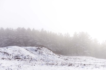 snow foggy landscape with wood trees