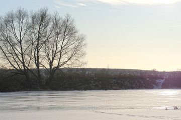 Landscape with winter nature