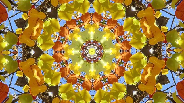 Movimientos de hojas de &aacute;rbol con efectos.