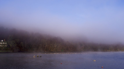 Obraz na płótnie Canvas Misty morning over the river