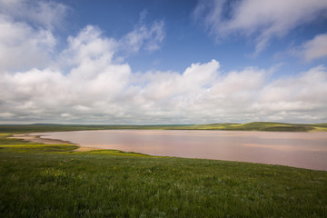 Obraz premium Dawn on the pink Lake Opuk with blossoming shores in the spring