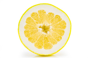 one thin slice of ripe grapefruit on a white background