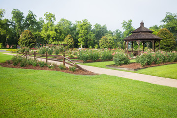 Garden and Gazebo