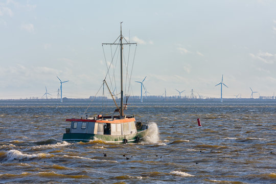Fototapeta Dutch fishing ship at lake ijsselmeer with wind turbines at the horizon