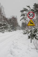 Road sign next to a forest road covered with snow. A forest road and sign in a winter robe.
