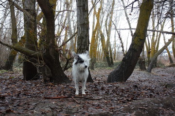 Exploring Washington State, The Pacific Northwest