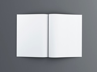 3d opened magazine. Mockup