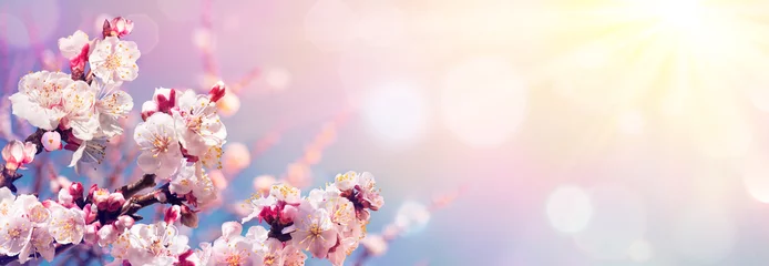 Selbstklebende Fototapete Frühling Rosa Blüten gegen Himmel bei Sonnenaufgang - Frühlingsblühen