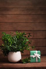 Green bouquet in white vase on a wooden table with gift box closeup. Spring is coming. Shallow depth of field. Vertical image