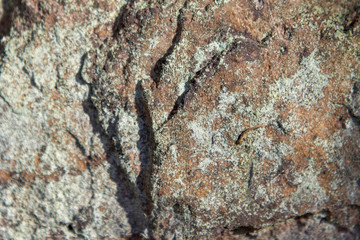 Rock and lichen texture with lots of white space