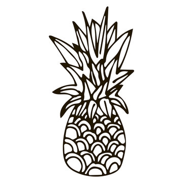 Hand drawn pineapple of black outline isolated on white background. Cartoon pineapple. Vector illustration.