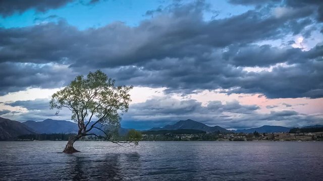 Time lapse of 'that Wanaka Tree' at sunset, a symbolic willow tree just of the shore of Lake Wanaka that captures peoples imagination with its story of beauty and survival against the odds
