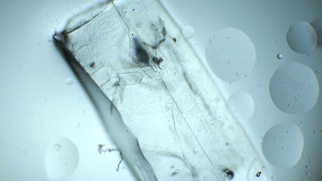 grains of sugar melting in the water,under the microscope,time lapse