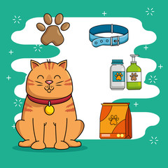 pet shop set icons vector illustration design