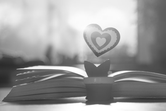 symbol of love red heart in the form of a flower stands near an open old book on a background of a blurred window in the yellow rays of the sun