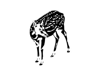 spotted deer silhouette in black and white