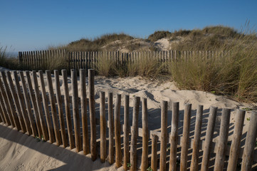 Wooden fence marking a protected area of coastal dunes.