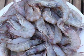Fresh shrimp in market