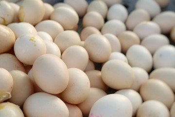 Boiled egg at street food