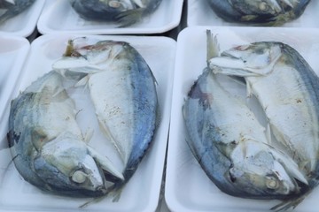 mackerel at street food