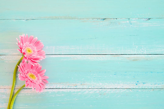 Pink flowers on vintage wooden in blue paint background, vintage pastel color tone - concept flower of spring or summer background