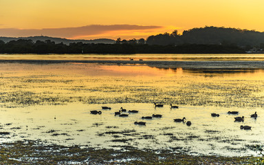 Sunrise Waterscape